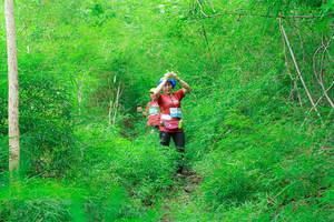 BIB: 
                            <button type="button" onclick="openModal(22092990)" class="btn btn-primary btn-sm float-right btn-popup" data-toggle="modal" data-target=".modal-high-quality">
                        <i class="fas fa-shopping-cart"></i> Add to Cart
                    </button>
                                            <button type="button" onclick="isThisMe(22092990, true)" class="btn btn-success btn-sm float-right btn-popup btn-isme hidden" data-toggle="tooltip" data-placement="bottom" title="นี่คือรูปของคุณใช่ไหม คลิกที่นี่เพื่อเอาเข้าอัลบั้ม">
                        <i class="fas fa-plus"></i> Add to album
                    </button>
                    <button type="button" onclick="isThisMe(22092990, false)" class="btn btn-warning btn-sm float-right btn-popup btn-isnotme hidden">
                        <i class="fas fa-ban"></i> Remove from album
                    </button>